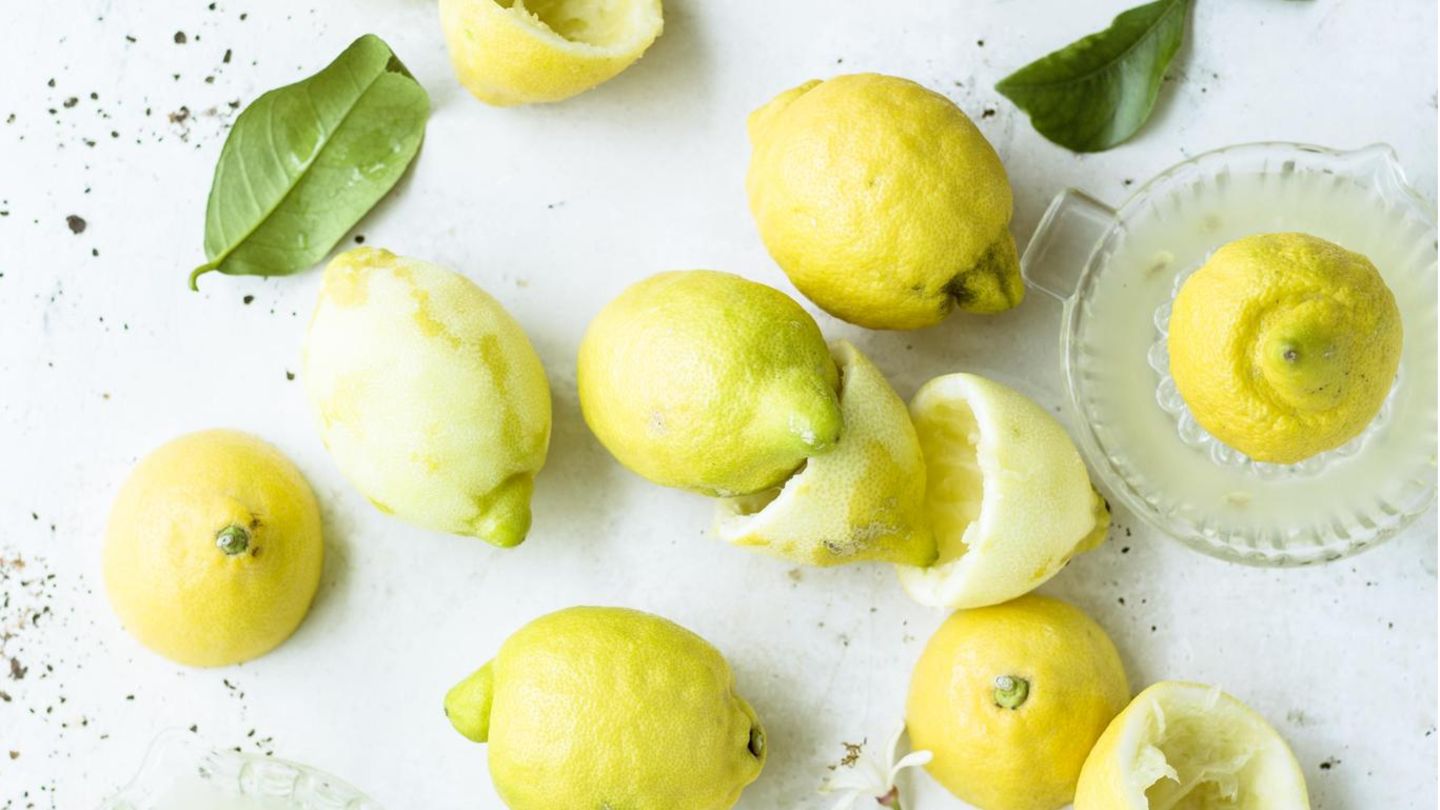 VOE STERN 26/2015 Genuss Kolumne; Zitronen StilllebenStyling: Maria Grossmann, Foodstyling: Roland Geiselmann Biozitronen sind die Voraussetzung für eine gute Creme, da ihre unbehandelte Schale wichtig ist