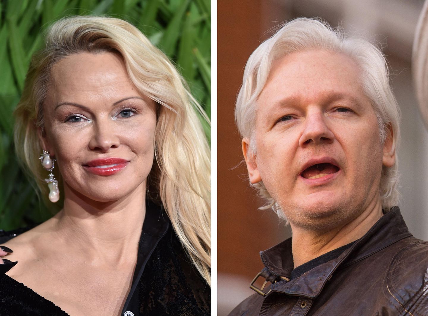 Pamela Anderson und Julian Assange