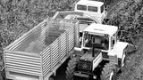 MB Trac