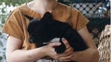 Christiane F. ist von klein auf mit Tieren aufgewachsen. Mitte der 80er Jahre besaß sie eine französische Bulldogge. 