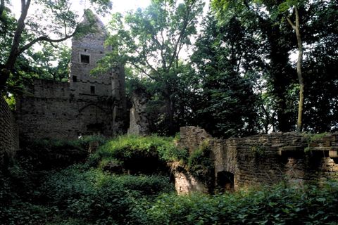 Das verlorene Paradies: Als die Menschen im Mittelalter die riesigen Wälder Deutschlands abholzten