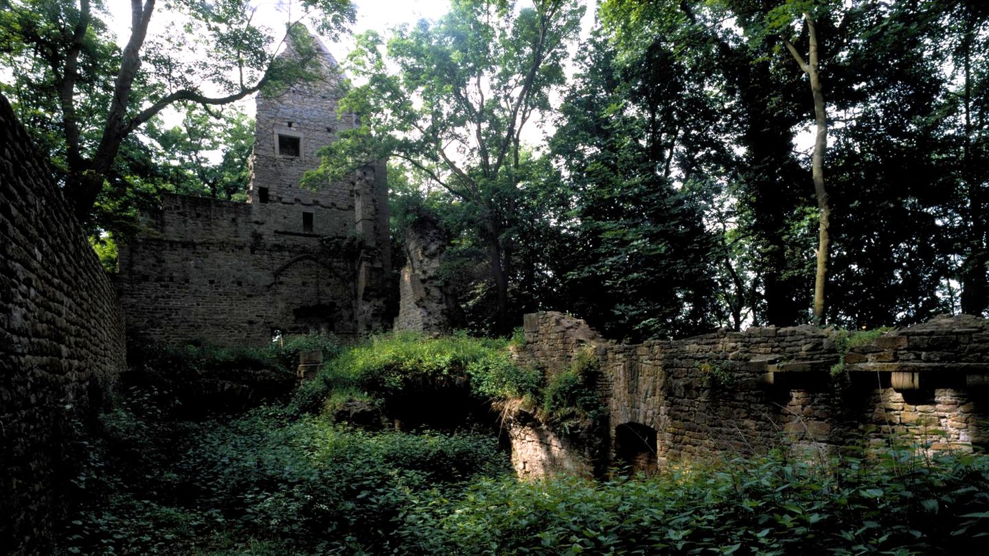 Das verlorene Paradies: Als die Menschen im Mittelalter die riesigen Wälder Deutschlands abholzten Das verlorene Paradies: Als die Menschen im Mittelalter die riesigen Wälder Deutschlands abholzten