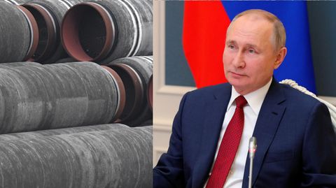 Rohre für die Ostsee-Gaspipeline Nord Stream 2. rechts: Russlands Präsident Wladimir Putin