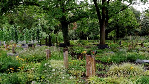 Bestattungsgarten in Köln