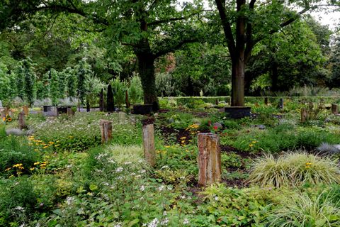 Bestattungsgarten in Köln