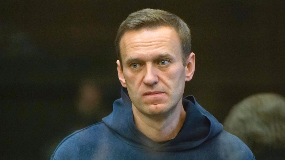 Alexej Nawalny im Moskauer Stadtgericht