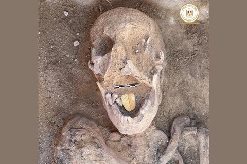 Die Mumien werden auf 2000 Jahre geschätzt