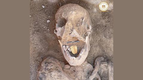 Die Mumien werden auf 2000 Jahre geschätzt