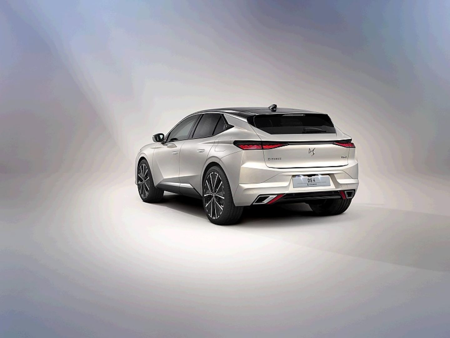 DS4 2021