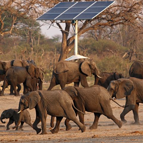 Solaranlagen-Boom in Simbabwe