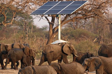 Solaranlagen-Boom in Simbabwe