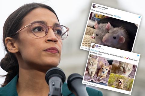 AOC gegen Twitter-Hass