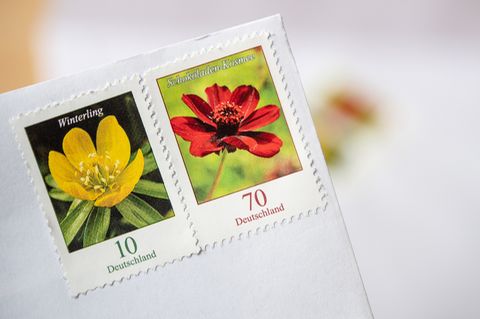 Zwei Briefmarken mit Blumenmotiv auf weißem Brief