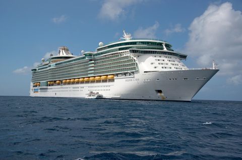 Das Kreuzfahrtschiff "Freedom of the Seas"
