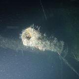 Etwa 500 Mann wurden in der Blücher eingeschlossen und gingen mit ihr unter. 