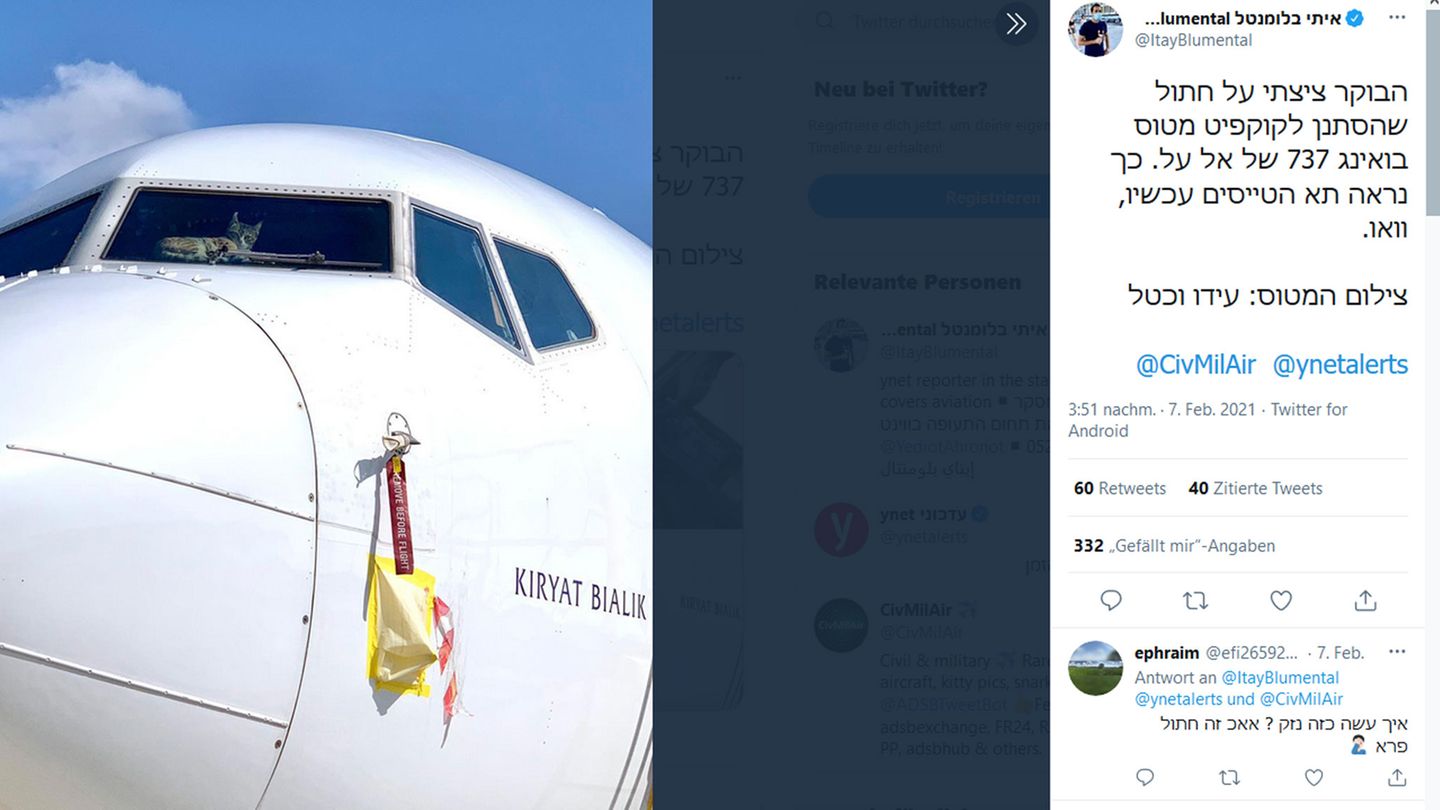 Die in Tel Aviv abgestellte Boeing 737-900ER von El Al. "Heute Morgen habe ich eine Katze gesehen, die in das Cockpit einer El Al Boeing 737 eingedrungen ist", kommentiert der Fotograf sein Bild.