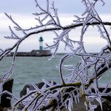Starker Wind sorgt auf der Insel Rügen für tiefe Temperaturen. Ein dicke Eispanzer hat sich an den Zweigen von Büschen am Ufer bei Sassnitz gebildet.