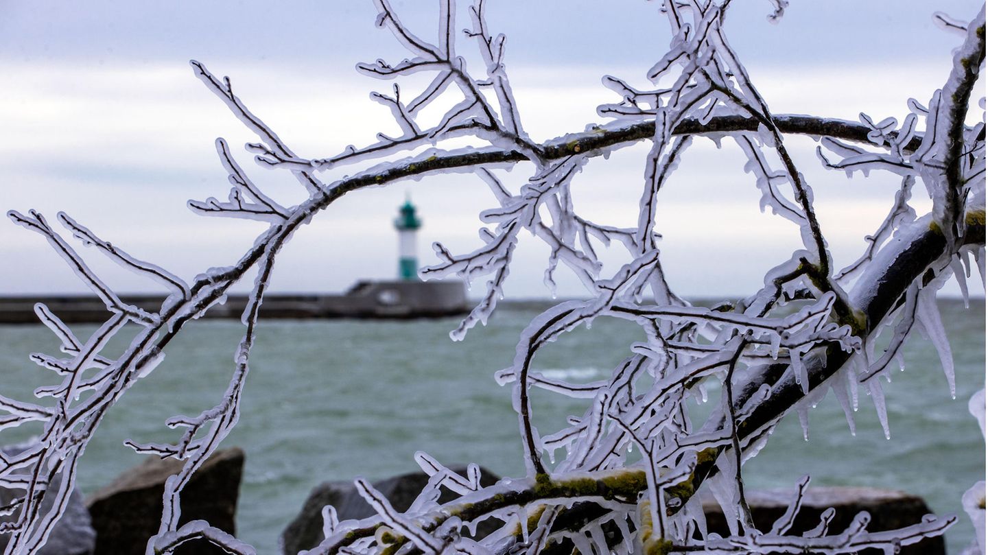 Starker Wind sorgt auf der Insel Rügen für tiefe Temperaturen. Ein dicke Eispanzer hat sich an den Zweigen von Büschen am Ufer bei Sassnitz gebildet.