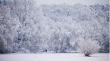 Aber auch im Süden, wie hier in Wolkersdorf in Bayern, hat der Winter die Landschaft verwandelt, durch die eine Person mit ihrem Hund spaziert.