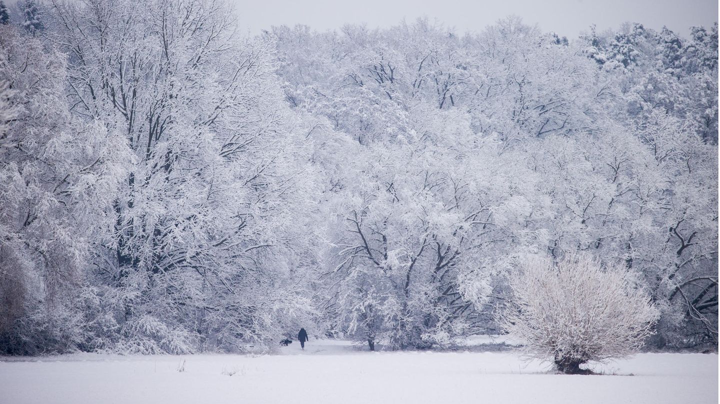 Aber auch im Süden, wie hier in Wolkersdorf in Bayern, hat der Winter die Landschaft verwandelt, durch die eine Person mit ihrem Hund spaziert.