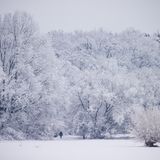 Aber auch im Süden, wie hier in Wolkersdorf in Bayern, hat der Winter die Landschaft verwandelt, durch die eine Person mit ihrem Hund spaziert.