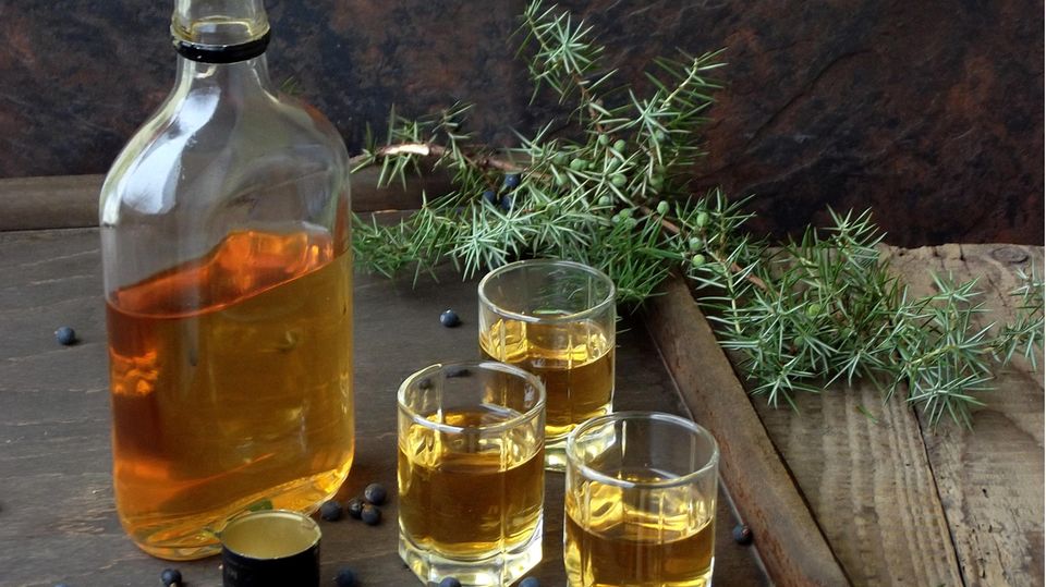 Gin Sets für Zuhause: Drei Gläser mit Bathtub-Gin stehen neben einer halbvollen Flasche