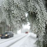 Raureif bildet sich an den Zweigen einer Fichte im Oberharz bei Schierke in Sachsen-Anhalt.