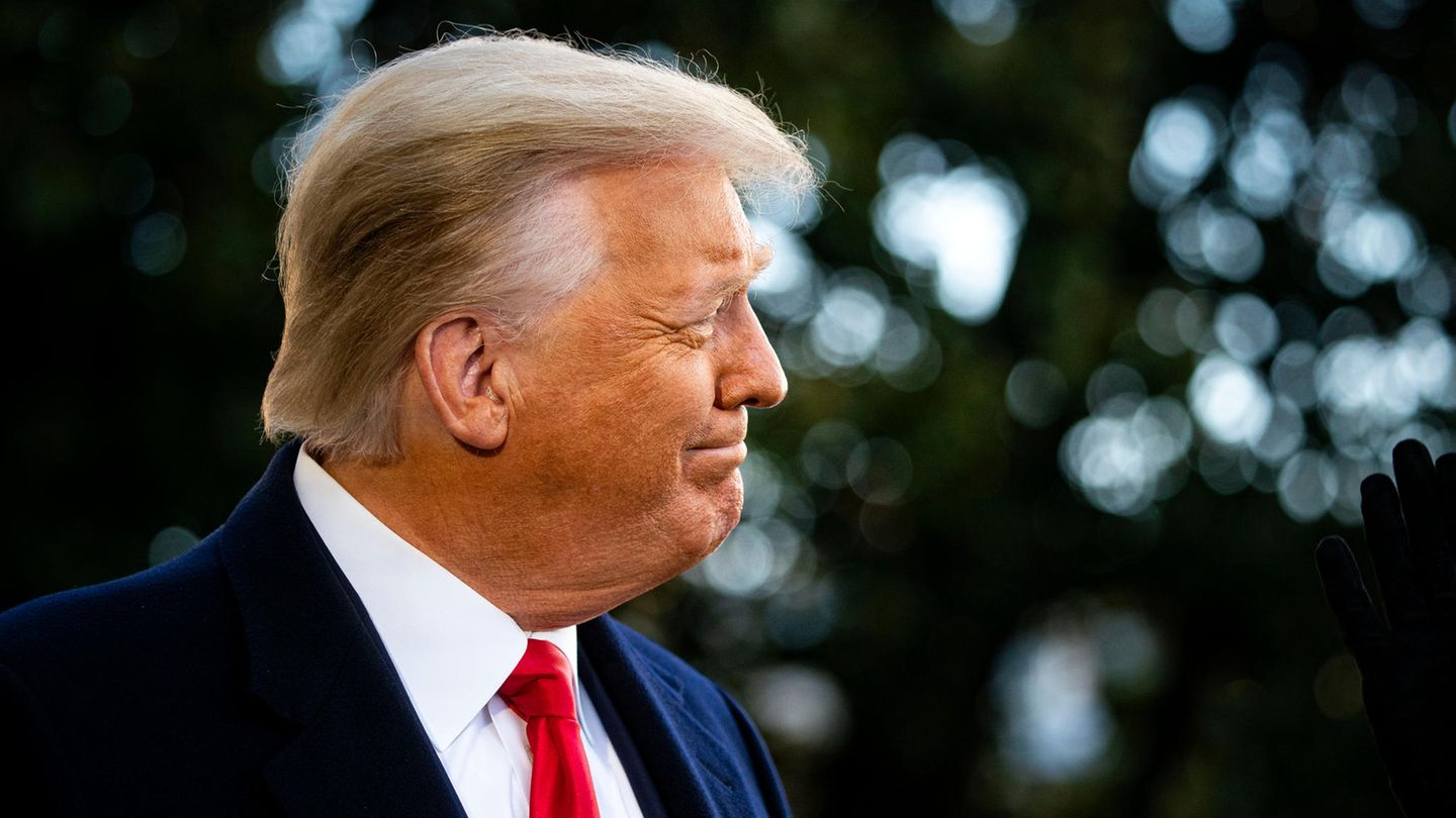 Amtsenthebungsverfahren: Jetzt hilft auch kein Mafia-Anwalt: Das Impeachment könnte Trumps letzter juristischer Erfolg sein