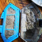 Der Saugbehälter hat die übliche Größe - ohne Tiere im Haus sollte es für eine Woche ausreichen.