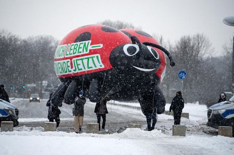 Protest vor Kabinettssitzung