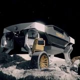 Man sollte sich nicht täuschen lassen, der Tiger ist nur so groß wie ein Koffer.