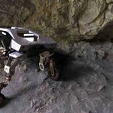 Hier sieht man sehr gut, wie flexibel die Räder sind.