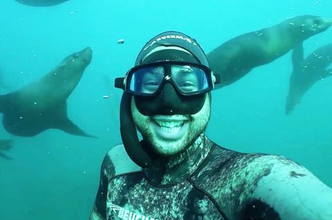 Dutzende Robben umkreisen den Freediver vor Jervis Bay, einer Bucht im Südosten Australiens.