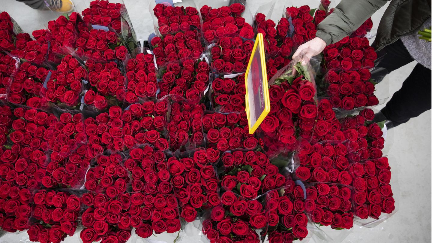 Zum Valentinstag sollten sie lieber rote Rose als Haushaltsgeräte oder Sextoys verschenken