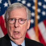 10. "African American voters are voting in just as high a percentage as Americans" - Mitch McConnell