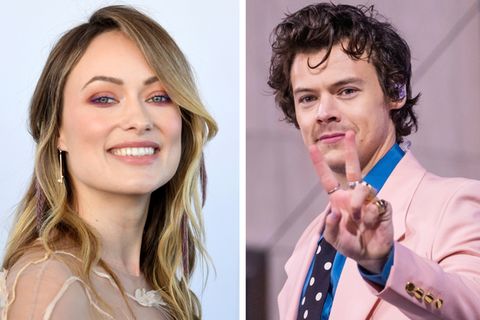Olivia Wilde, Harry Styles