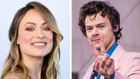 Olivia Wilde, Harry Styles