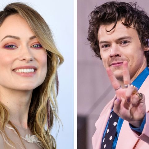 Olivia Wilde, Harry Styles