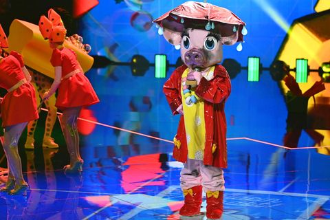 Das Schwein in der ersten Folge der vierten Staffel der ProSieben-Show "The Masked Singer"