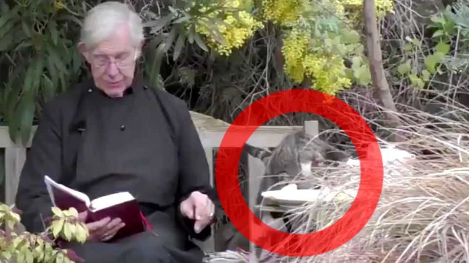 Canterbury Cathedral: Katze klaut Dekan seine Pfannkuchen während Online-Andacht