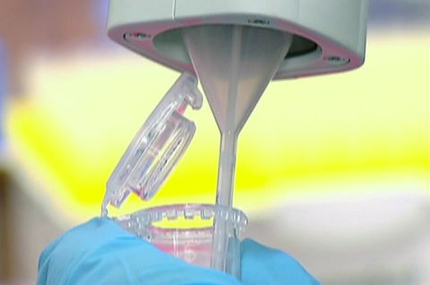 Viren im Abwasser: Analyse gibt Aufschluss über die Corona-Lage