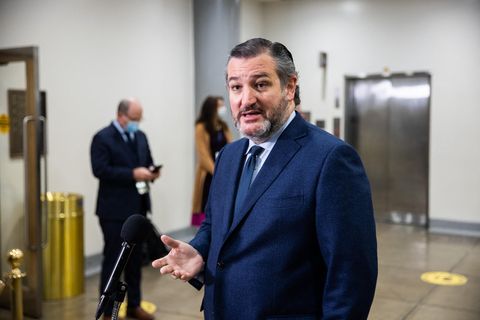 US-Senator Ted Cruz