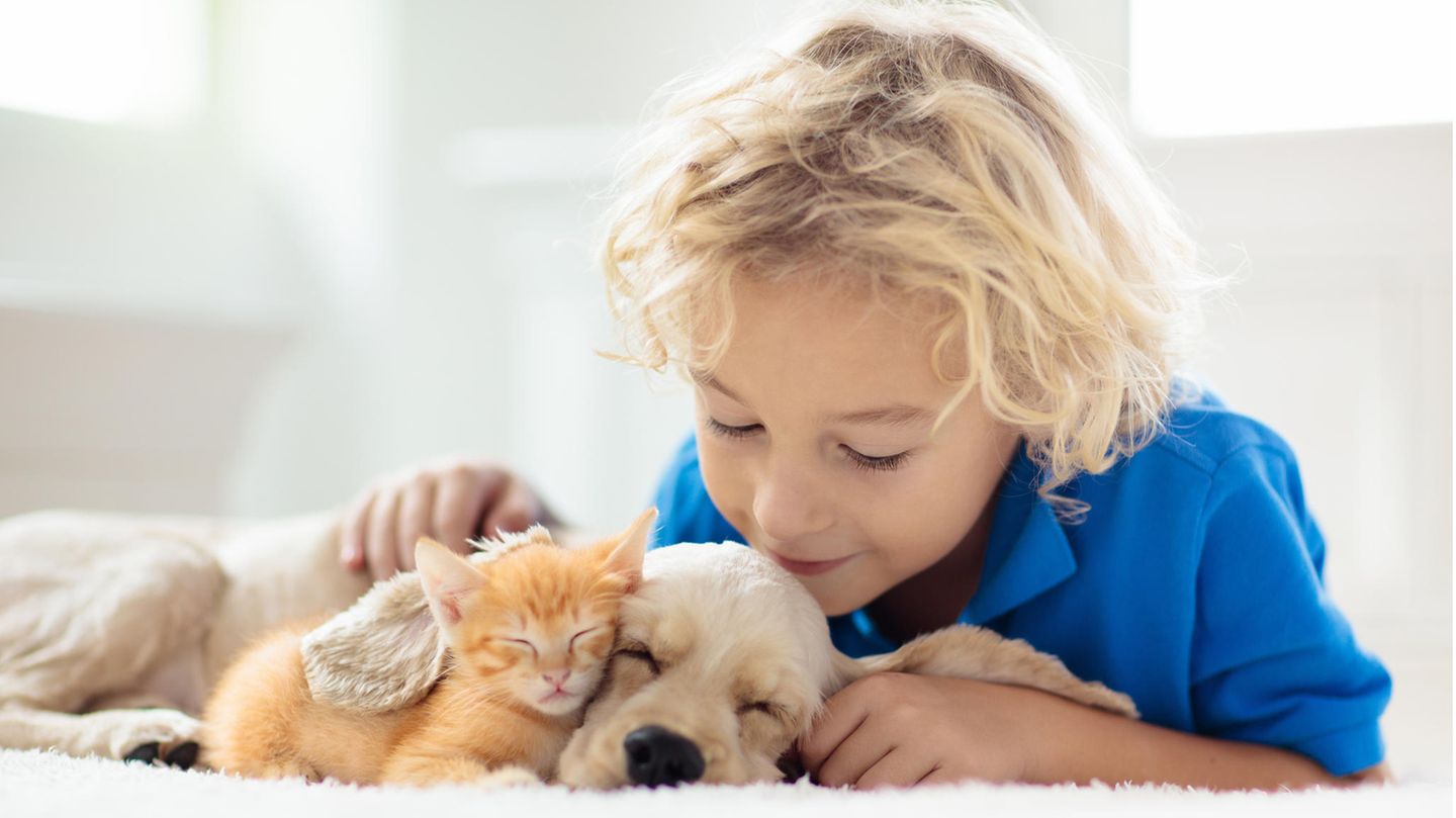 Ein Junge liegt mit einem kleinen Hund und einer kleinen Katze auf dem Bett