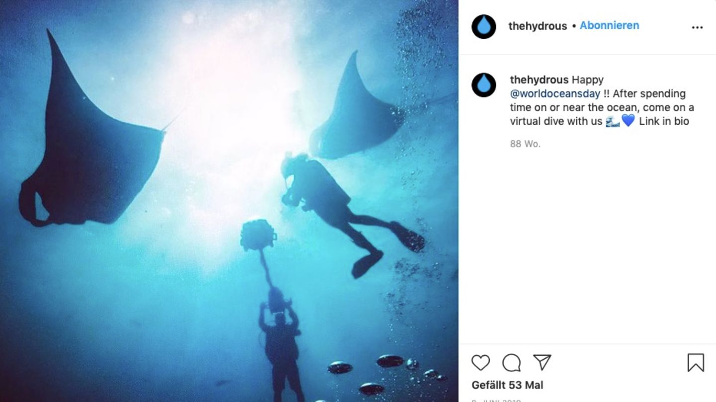 Auf Instagram teilt die Organisation Bilder vom Videodreh der virtuellen Tauchgänge