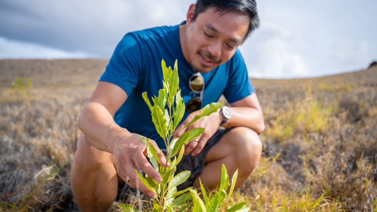 Ex-Reddit-Chef Yishan Wong investiert jetzt in Baumpflanz-Projekt