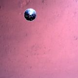 Hitzeschild des Mars Rovers Perseverance abgetrennt auf dem Weg zur Oberfläche