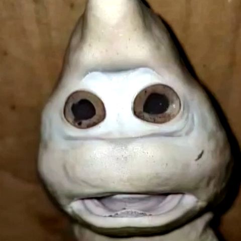 Haifisch mit menschlichem Gesicht