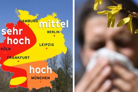 Pollenflug startet wieder