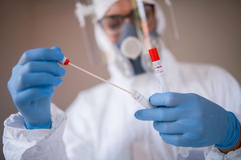 PCR-Test-Analyse