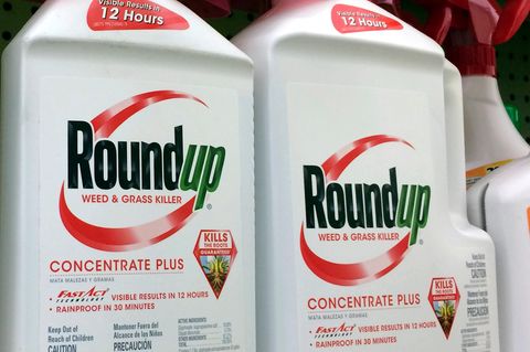 Behälter mit Roundup, ein glyphosathaltiges Unkrautvernichtungsmittel von Monsanto, stehen in einem Regal in einem Baumarkt
